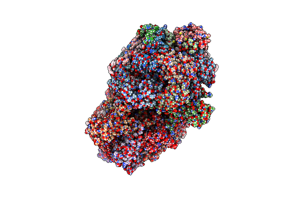 6DHH image