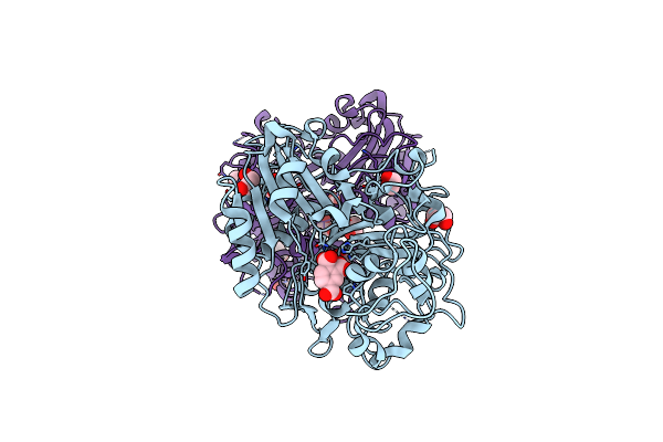 6DHU image