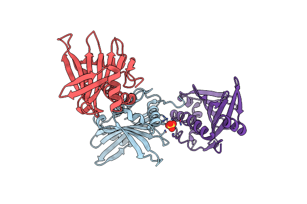 6DHX image