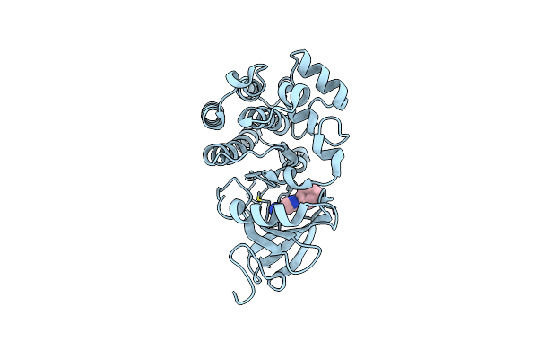 6DI0 image