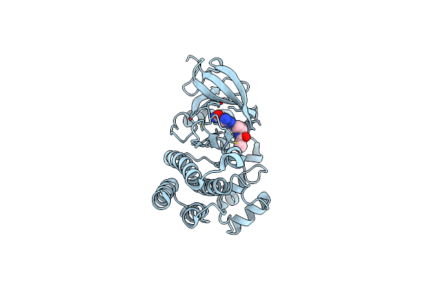 6DI1 image