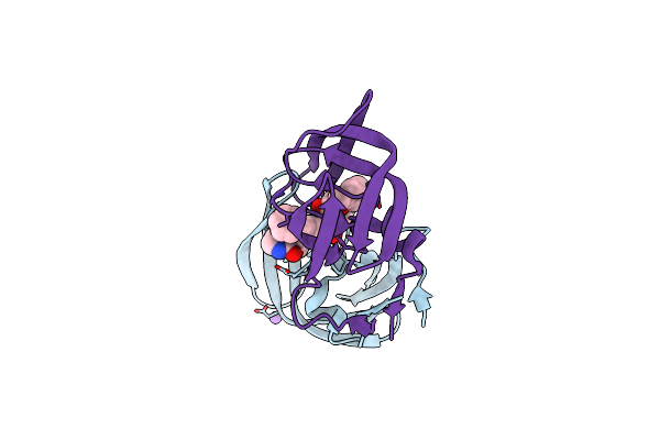 6DJ2 image