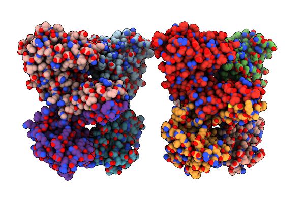 6DK8 image