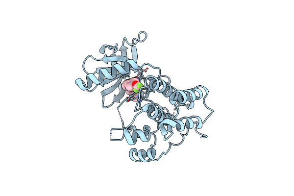 6DKB image