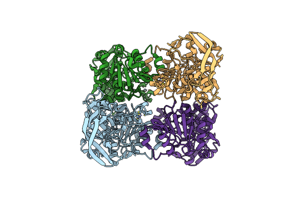 6DKH image