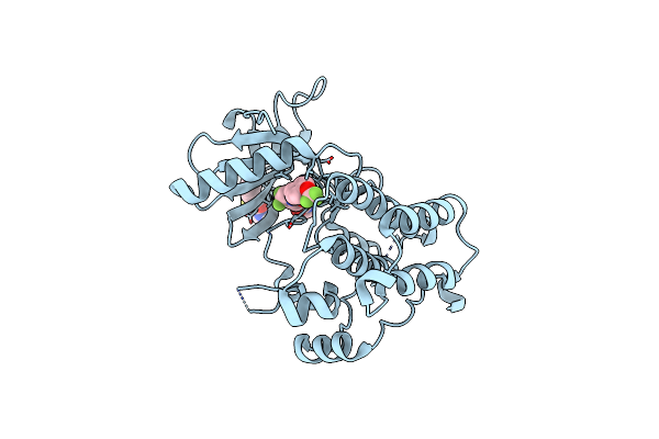 6DKI image