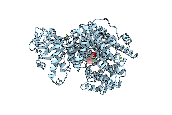6DKO image