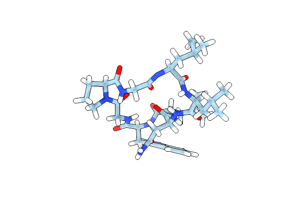 6DL1 image