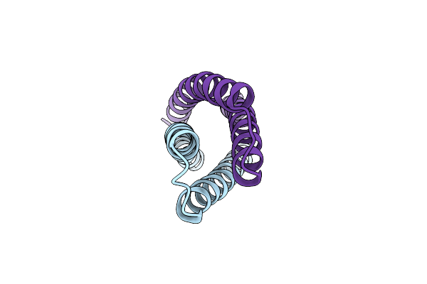 6DLM image