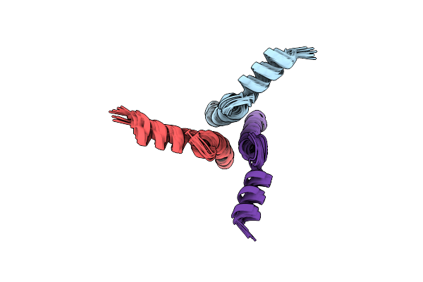 6DLN image