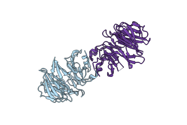 6DLO image