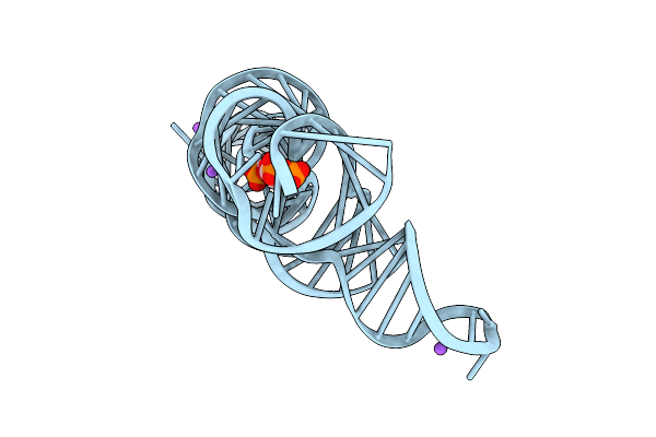 6DLQ image