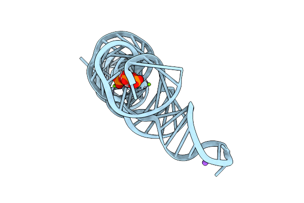 6DLT image