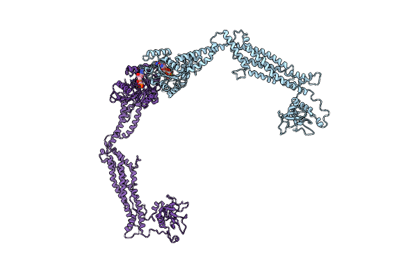 6DLU image