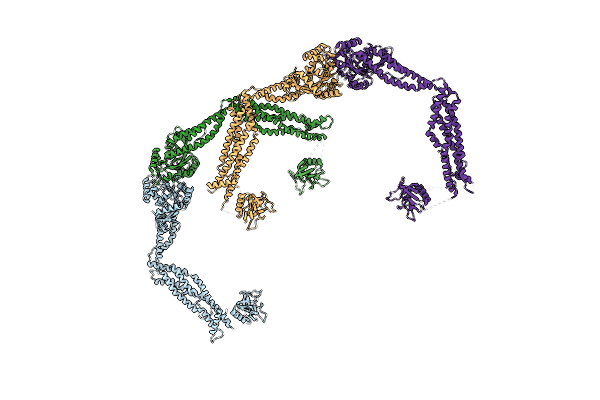 6DLV image