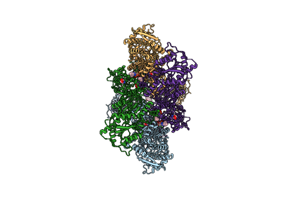 6DM1 image