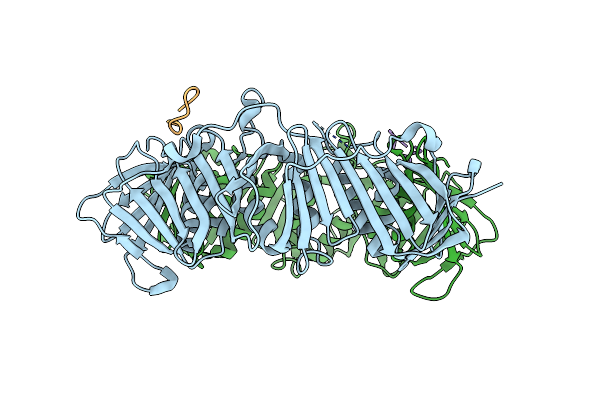 6DM6 image