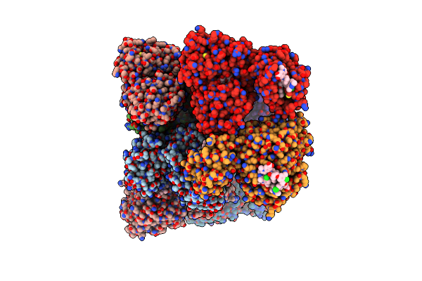 6DM8 image