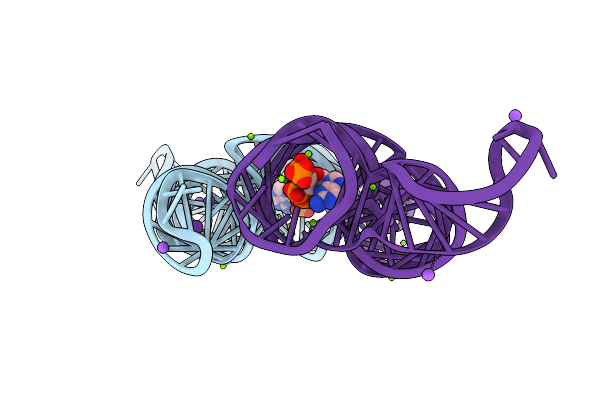 6DMC image