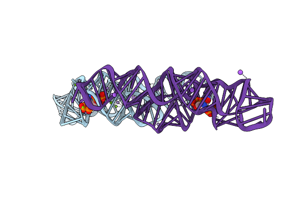 6DMD image