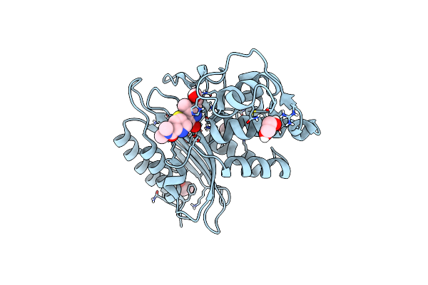 6DMH image