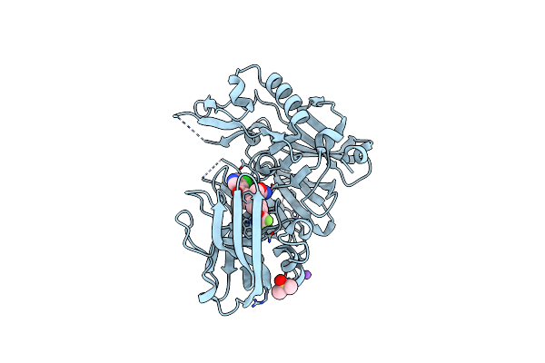 6DMI image