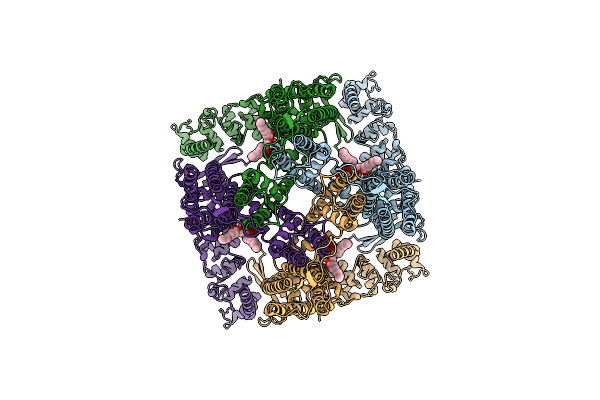 6DMU image