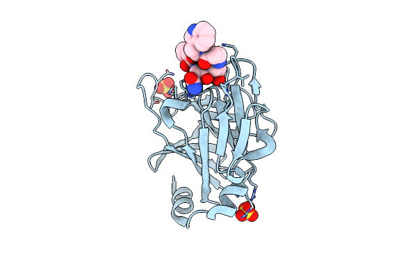 6DN5 image