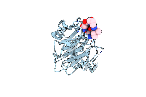 6DN6 image