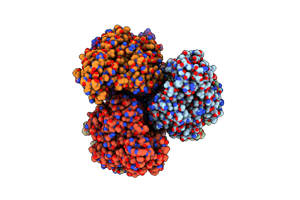 6DNA image