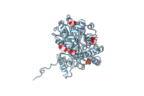 6DNB image