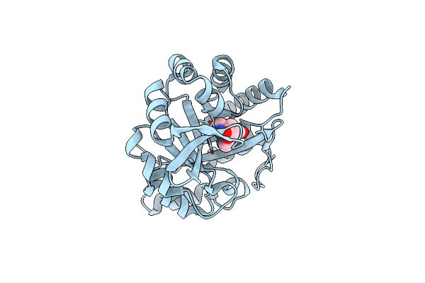 6DNJ image