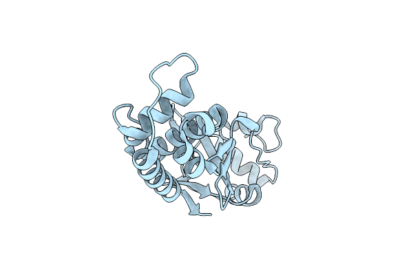 6DNM image