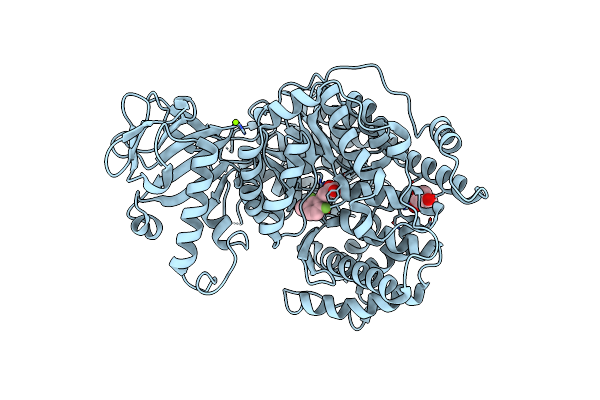 6DNP image
