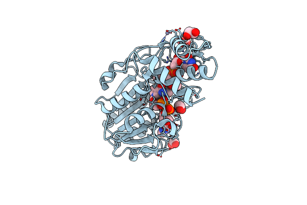 6DNT image
