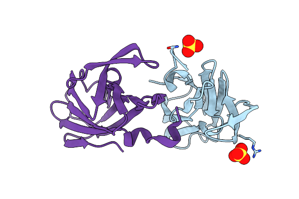6DNV image