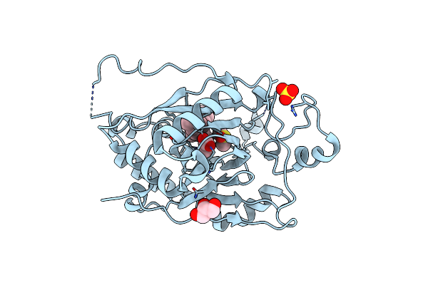 6DQC image