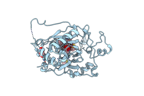 6DQD image