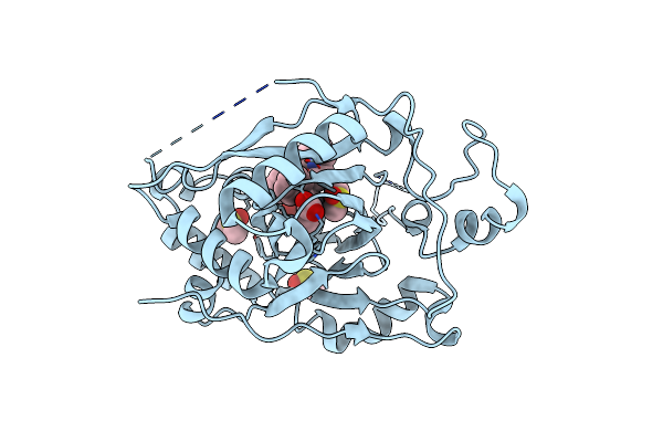 6DQE image