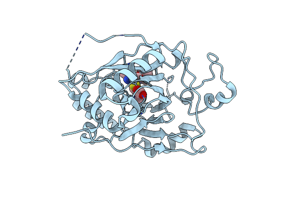 6DQF image