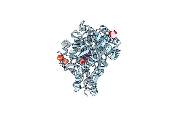 6DQQ image