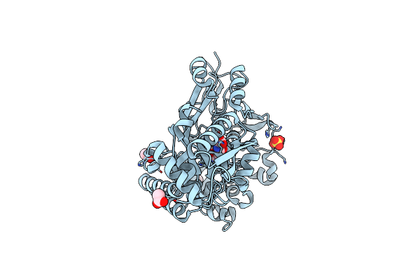 6DQR image