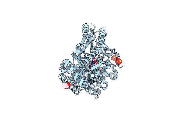 6DQT image