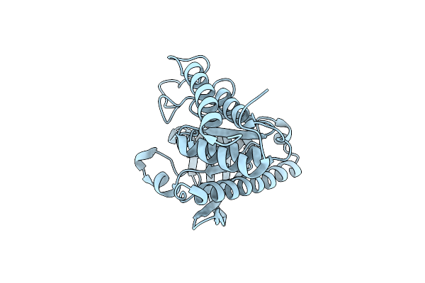 6DR1 image