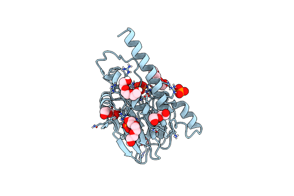 6DR8 image