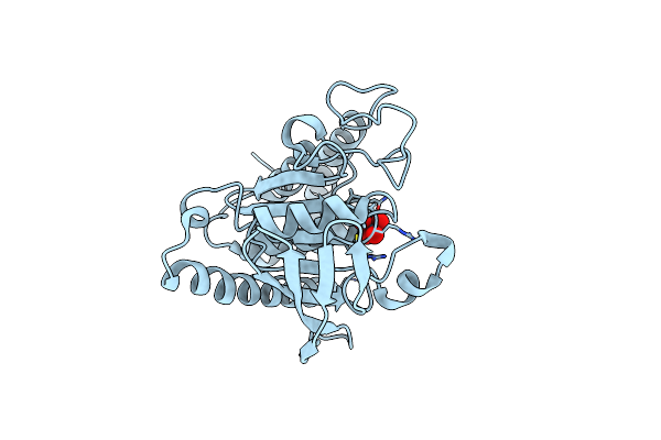 6DRB image