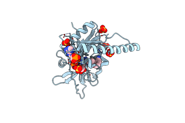 6DRS image