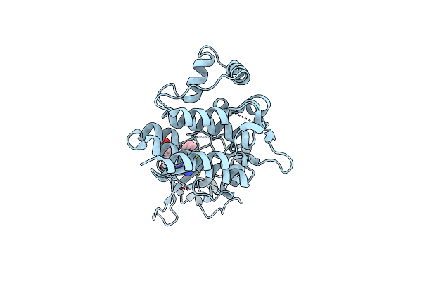 6DRW image