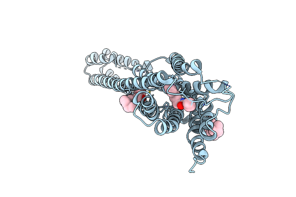 6DRX image