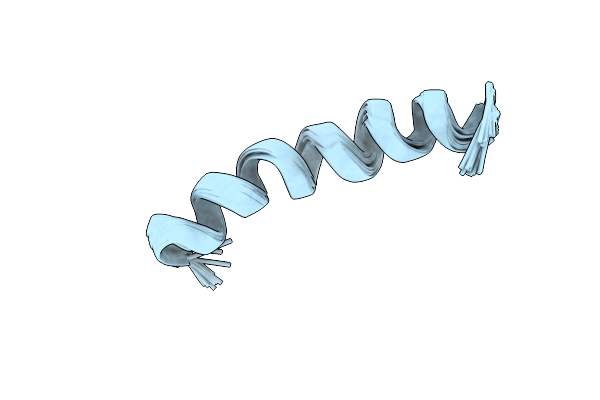 6DST image